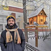 ���������� ������, ���� ������� ALPHA, 36 ���, ������������ ��� ������, ����� � ���������