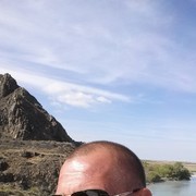  ,   D, 43 ,  
