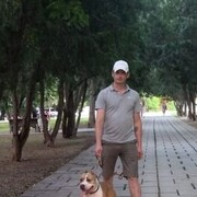 ���������� �����������, ���� ������� �������, 41 ���, ������������ ��� ������, ����� � ���������