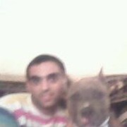  ,   MIQO, 35 ,   ,   , c 