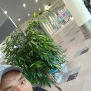 ���������� ��������, ���� ������� ������, 30 ���, ������������ ��� ������, ����� � ���������, c�������� ���������