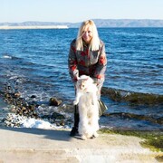 ���������� ��������, ���� ������� ����, 57 ���, ������������ ��� ����� � ���������, c�������� ���������