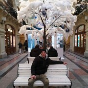 ���������� �����, ���� ������� ���� ���, 44 ����, ������������ ��� ������, ���������