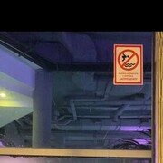 ���������� ������, ���� ����� �����, 22 ����, ������������ ��� ������, ����� � ���������, c�������� ���������