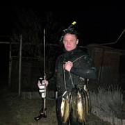 ���������� ���������, ���� ������� �������, 43 ����, ������������ ��� ������