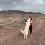  ,   Mary, 36 ,   ,   