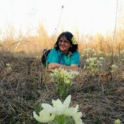 ���������� ������, ���� ������� Motrena, 59 ���, ������������ ��� ����� � ���������