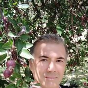  ,   Yilmaz, 52 ,   ,   