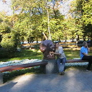  ,   , 54 ,   ,   , c , 