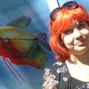  ,   Larisa, 59 ,   ,   , c 