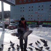 ���������� ���, ���� ������� ����, 34 ����, ������������ ��� ������, ����� � ���������, c�������� ���������