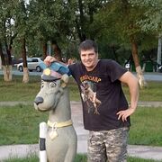 ���������� ����������, ���� ������� ���������, 37 ���, ������������ ��� ����� � ���������, ���������