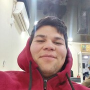  ,  Panda, 24