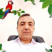  ,  Zenit, 51