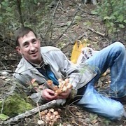  ,   , 46 ,   