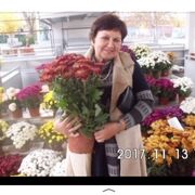  -,   , 71 ,   ,   , c 