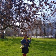 ���������� ������-��-����, ���� ������� �������, 66 ���, ������������ ��� ����� � ���������