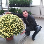 ���������� ������, ���� ������� ��������, 37 ���, ������������ ��� ������, ����� � ���������, c�������� ���������