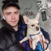 ���������� ����, ���� ������� Artemka, 31 ���, ������������ ��� ������, ����� � ���������, c�������� ���������, ���������