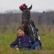 ���������� �������, ���� ������� ����, 33 ����, ������������ ��� ������, ����� � ���������, c�������� ���������