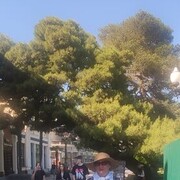 ���������� ������, ���� ������� �������, 63 ����, ������������ ��� ������, ����� � ���������, c�������� ���������, ���������