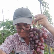  ,   , 57 ,   ,   , 