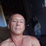  ,   German, 46 ,   ,   