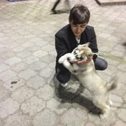 ���������� ������, ���� ������� �����, 28 ���, ������������ ��� ������, ����� � ���������, c�������� ���������