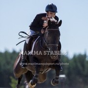 ���������� ��������, ���� ������� �������, 33 ����, ������������ ��� ������, ����� � ���������, c�������� ���������