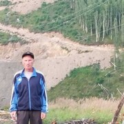 ���������� �����������, ���� ������� ��������, 50 ���, ������������ ��� c�������� ���������