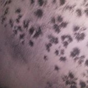 ���������� �����, ���� ������� �����, 39 ���, ������������ ��� ������, ����� � ���������, c�������� ���������