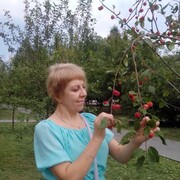 ���������� ����������, ���� ������� �����, 48 ���, ������������ ��� ������, ����� � ���������