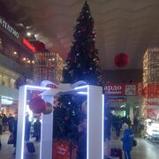 ���������� �����-���������, ���� ������� ��������, 36 ���, ������������ ��� ������, ����� � ���������