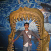 ���������� �����-���������, ���� ������� ZARIF27, 39 ���, ������������ ��� ������