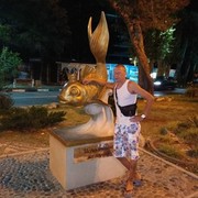 ���������� ��������, ���� ������� ���������, 43 ����, ������������ ��� ������, ����� � ���������, c�������� ���������