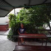  ,   , 41 ,   ,   