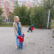 ���������� ������, ���� ������� �����, 26 ���, ������������ ��� ������, ����� � ���������