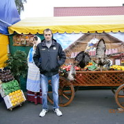 ���������� �������, ���� ������� �������, 36 ���, ������������ ��� ������, ����� � ���������, c�������� ���������