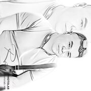 ���������� �����������, ���� ������� Il, 47 ���, ������������ 