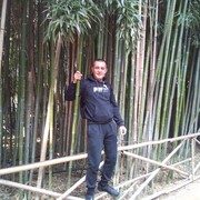 ���������� ������, ���� ������� ����, 39 ���, ������������ ��� ������, ����� � ���������, c�������� ���������, ���������