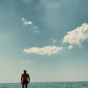 ���������� ����, ���� ������� ���������, 41 ���, ������������ ��� ������, ����� � ���������