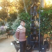  ,   , 35 ,   ,   