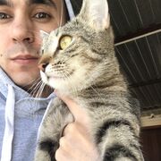 ���������� ������, ���� ������� �������, 31 ���, ������������ ��� ������, ����� � ���������