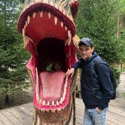 ���������� ������������, ���� ������� Djoy, 37 ���, ������������ ��� ������, ����� � ���������, c�������� ���������