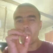  ,  , 32