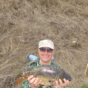 ���������� �������, ���� ������� ������, 56 ���, ������������ ��� ������, ����� � ���������, c�������� ���������