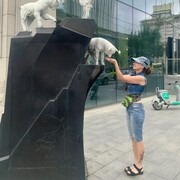  ,   , 47 ,   c 