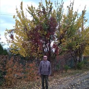  ,   , 65 ,   ,   , c 