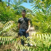  Kadikoy,   Mahmoud, 37 ,   ,   , c 