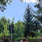  Karlsruhe,   , 58 ,     , c , 